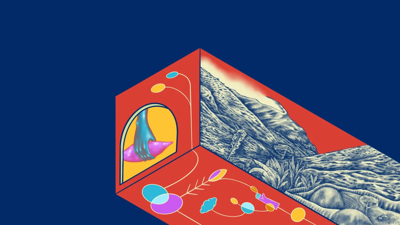 Kredit: Studio Pintalsari